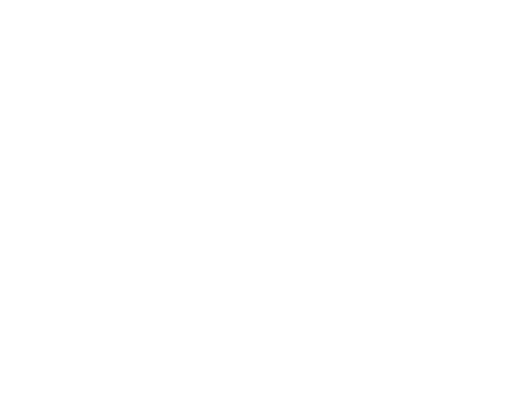 Icon Datenrettung